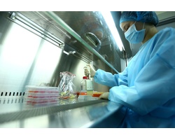 Nhóm nhà khoa học nữ phân lập thành công virus SARS-CoV-2